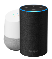 Google Home and Amazon Alexa